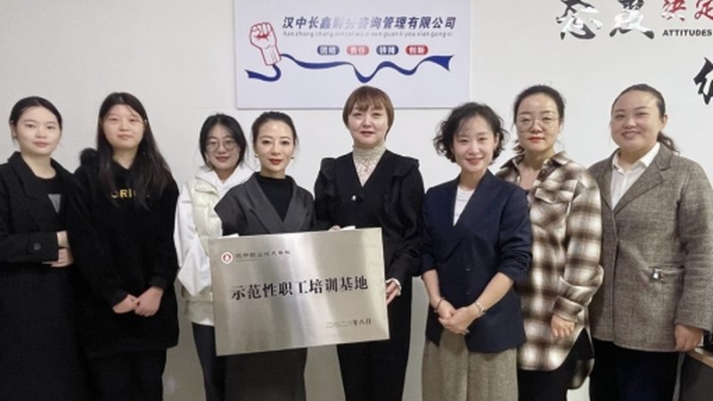 企业管理咨询效果评价标准规范：解码企业成长密码**